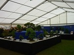 AFS 2016 09.JPG